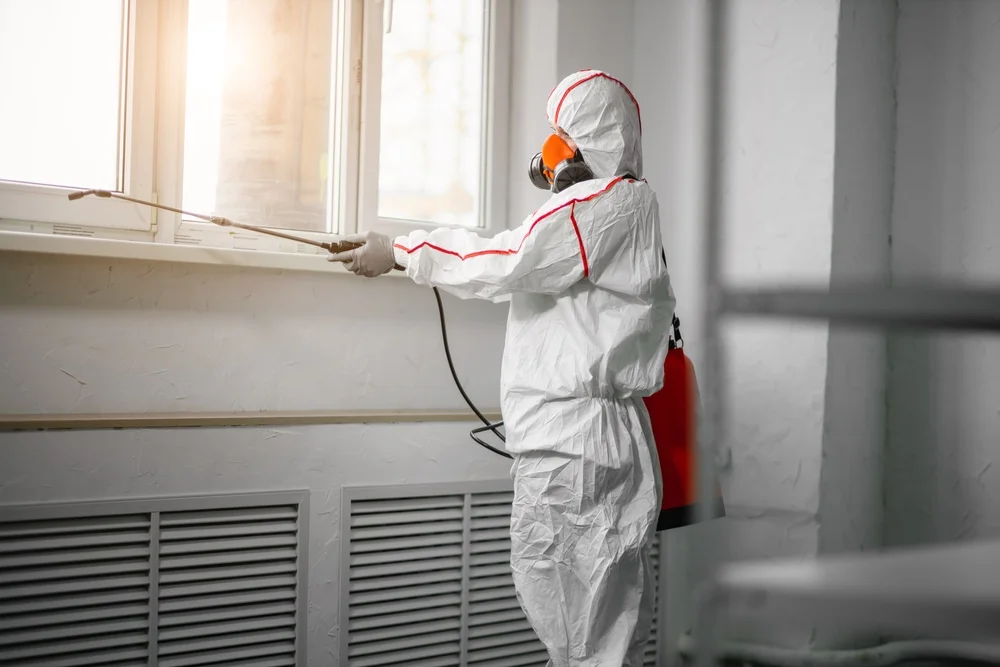 Professional mold remediation services in Maidsville, WV
